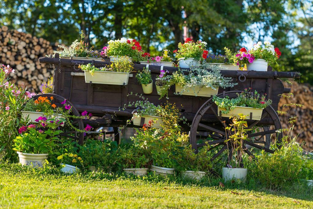Penzion Na Kopci Banska Stiavnica Ngoại thất bức ảnh